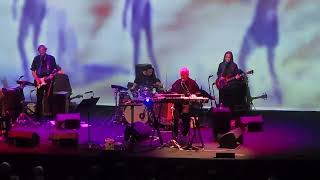 John Cale - Mr Wilson
