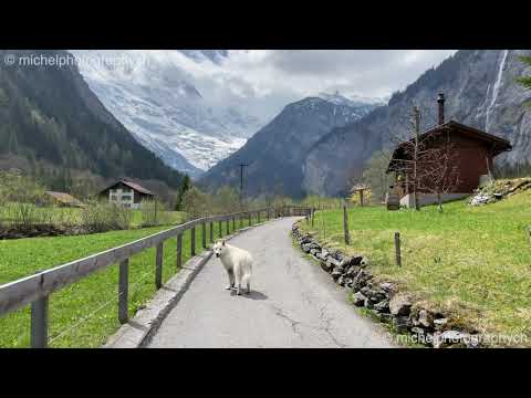 Lauterbrunnen valley spring hike 4K