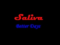 SALVIA BETTER DAYS