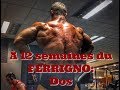 STANIMAL: Vlog à 12 semaines du FERRIGNO: DOS avec SHAWN RHODEN