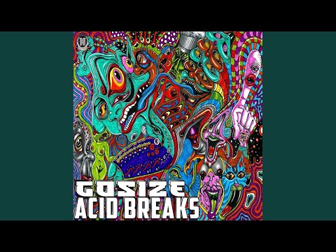 Acid Breaks (Original Mix)