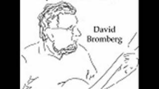 David Bromberg - Shake Sugaree
