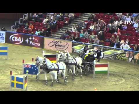 FEI World Cup™ Driving 2012/13 Budapest - Jozsef Dobrovitz 3rd Place