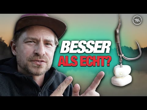 Das war DUMM! Lerne aus meinen Fehlern: Karpfenangeln an überfischten Gewässern