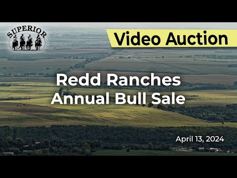 Redd Ranches Annual Bull Sale
