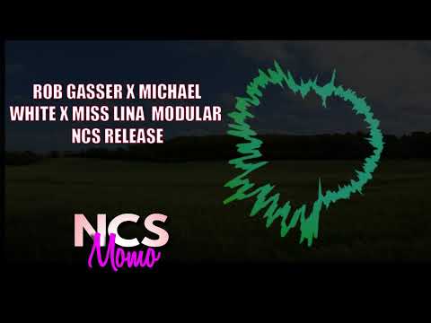 Rob Gasser x Michael White x Miss Lina  Modular1