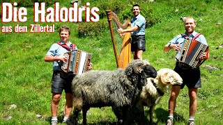 DIE HALODRIS AUS DEM ZILLERTAL - Die alten Zeiten