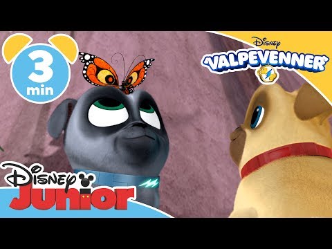 Valpvenner | Sommerfuglen Vicky 🦋- Disney Junior Norge