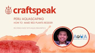 Craftspeak Peru_ Aqua dragontech - Planted Tank Setup: How to make red plants redder