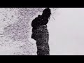 Dro Kenji OH WOW Official Audio