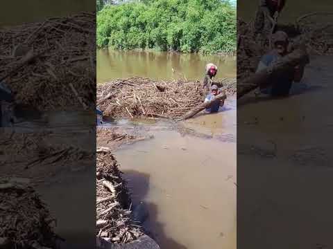 Limpeza preventiva na ponte do Rio Caroebe. #roraima #rio #Caroebe