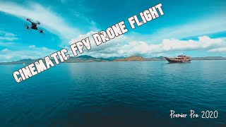FPV Drone - Cinematic shot with Inspiring Music. Edited on Premier Pro 2020