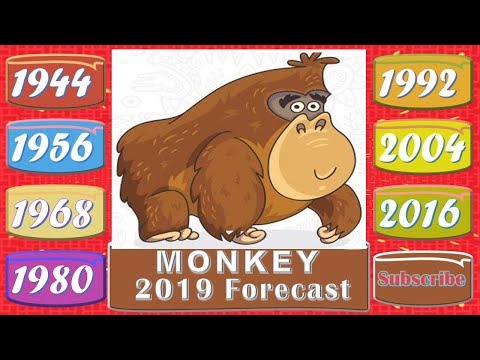 Watch lagu Images Videos Celebrity Monkey Zodiac, Watch Images Celebrity Monkey Zodiac free Watchn, video klip Celebrity Monkey Zodiac