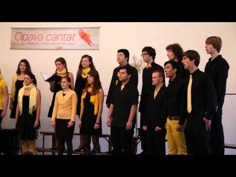 Karel Plíhal -- Ve skříni -- Divertimento