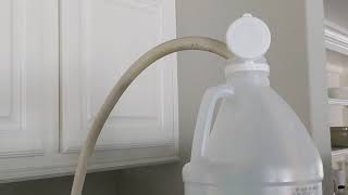 Rinse/clean mold from water line with vinegar