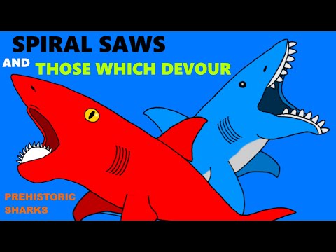 20 Prehistoric Sharks - Size Comparison - Helicoprion and Edestus