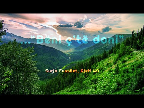 Recitim i mrekullueshëm i Kuranit || Qetëso zemrën me Kuran || Sure Fussilet