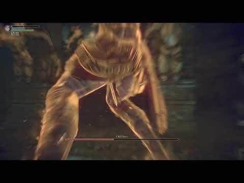 Demon's Souls Old Hero (SL1 NG+7 PBWT)