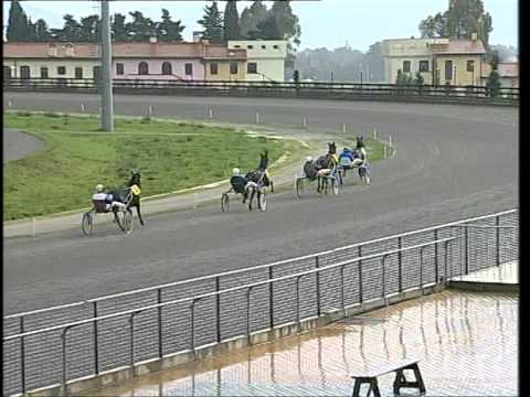 prova di qualifica e riqualifica 3 anni 27 gennaio 2014 Follonica