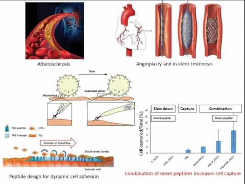 Yuan Tian 3 Minute Thesis Presentation