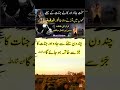 Jadu Jinnat Ko Kaat Dene Wala Dam Hafiz Ali Irshad Short Ruqyah Hafizaliirshad Ruqyah Jadukator
