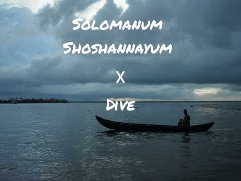 Solomanum shoshannayum x Dive | Mr. Shuffle