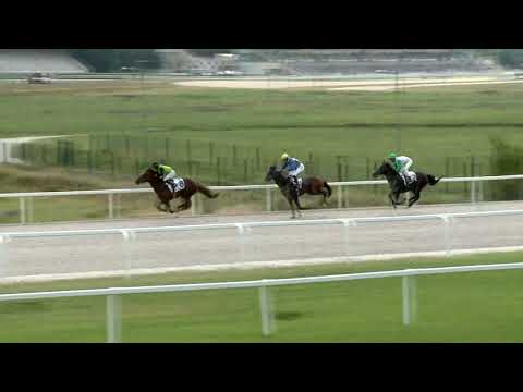 2019.07.28. 06. futam - LOMNICZI BÉLA EMLÉKVERSENY HENDIKEP (II.o.) (szintetikus pálya)