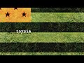 The Bottle Rockets - Zoysia [FULL ALBUM]