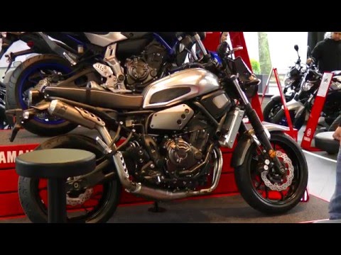 Kurvenräuber Revue // Faster Sons und Sport Heritage - Philosophie und Gedanken #2