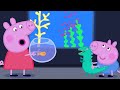 Peppa Pig Official Channel Playgroup Star