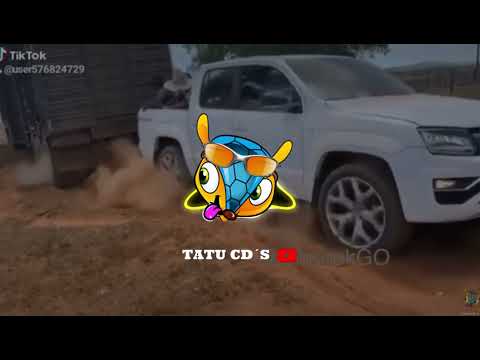 Bota Pra Torar bota macha reduzida que nos sobe devagar  (piseiro) com grave