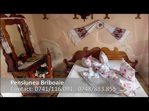 Pensiunea Briboaie