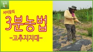 [서이장의 3분농법] 고추지지대