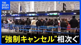 【「強制キャンセル」相次ぐ】中国人留学生「政治的な関係を市民の往来に持ち込むべきではない」日本への渡航自粛呼びかけから1か月｜TBS NEWS DIG