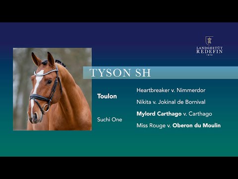 Tyson SH v. Toulon Mylord Carthago, OS, Hengst, gekört * 2018