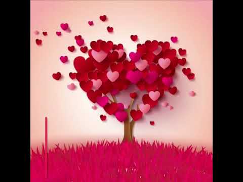 Dedica d’amore alla mia regina