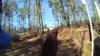 Beginner Novice X-Country helmet camera  Poplar Place Farm