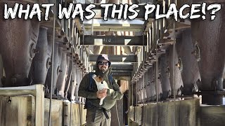 Visiting a Strange Abandoned Mine - Van Life Oregon