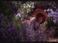 The Secret Garden - Neglected Garden 