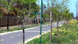 Single Tree Staking Systems