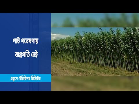 পাট গবেষণায় অগ্রগতি নেই