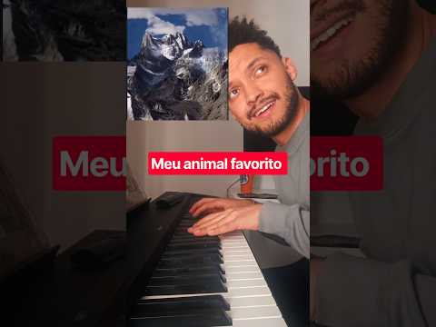 Meu animal favorito #piano #música