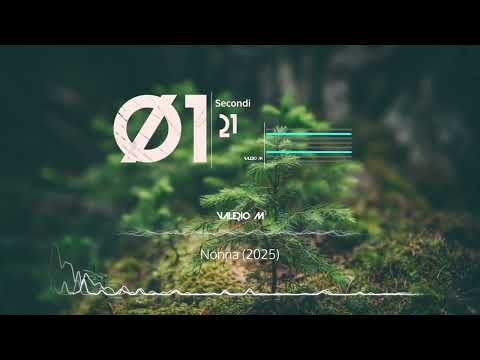 VALERIO M - Nonna (2025) Official 4K Visual Video