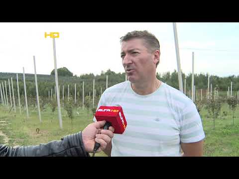 BL HRONIKA 13 10 20 - VOCNJAK PORODICE TADIC