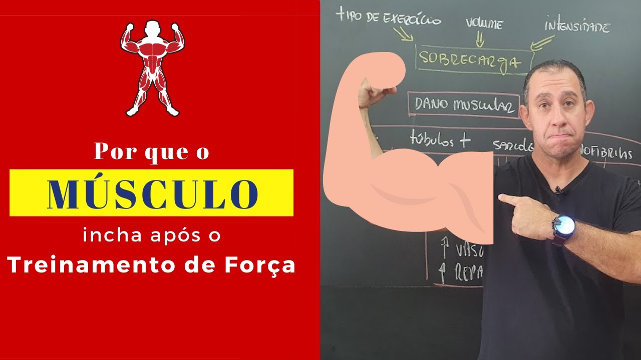 Por que o Músculo incha após o Treinamento de Força?