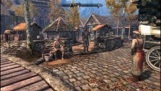 Skyrim-stalker in Riften
