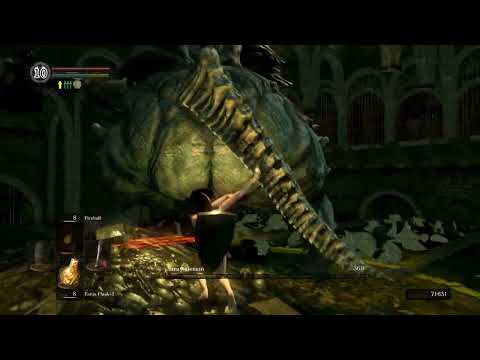 Stray Demon, Sl1, no roll/block/parry, flawless