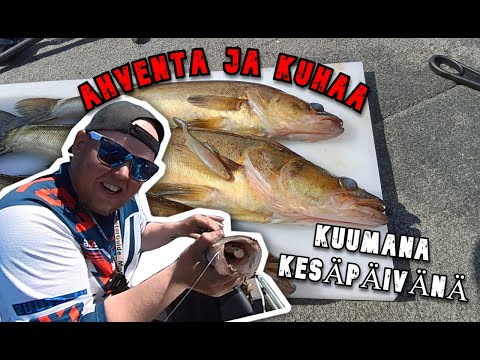 KUHAA JA AHVENTA | KUUMAN PÄIVÄN KALASTUSTA