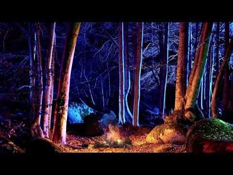 4K Campfire, Relaxing Fireplace, Relaxing Forest With Nature And Wood Burning Sounds, Bonfire ASMR
