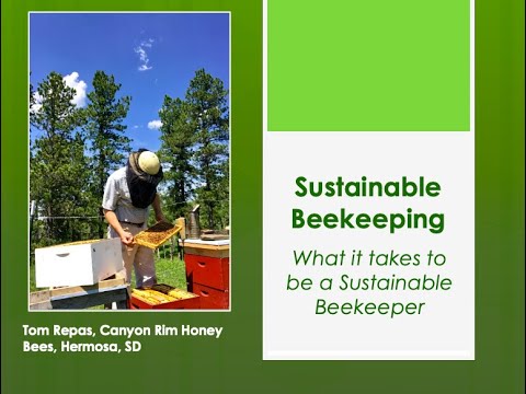 Sustainable Beekeeping